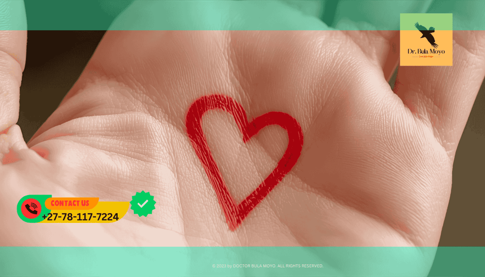 Close up of a palm with lines highlighted Palm reading guide explaining the meaning of the Love Line Heart Line