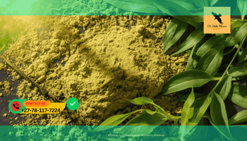 Moringa powder and leaves, a natural African superfood for energy