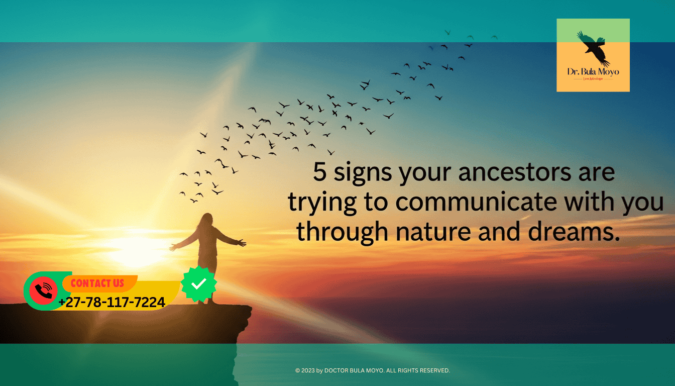 Silhouette of a person looking at lightbirds 5 signs your ancestors are trying to communicate with you through nature and dreams.