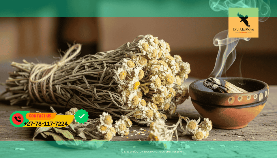 Traditional African herbs like Imphepho used for anxiety relief and spiritual grounding.