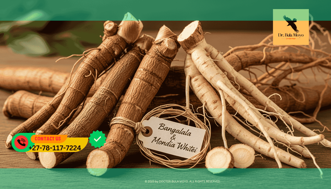 Bangalala and Mondia Whitei roots for male libido and erectile dysfunction.